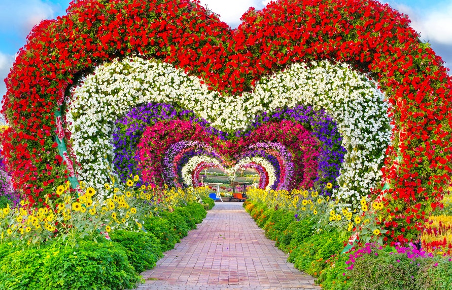instagram miracle garden dubai