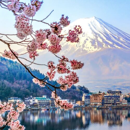 cherry blossom japan loveyourholidays ανθισμένες κερασιές