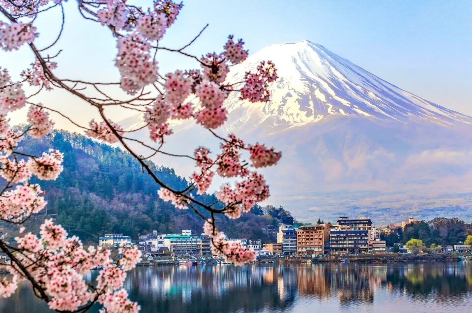 cherry blossom japan loveyourholidays ανθισμένες κερασιές