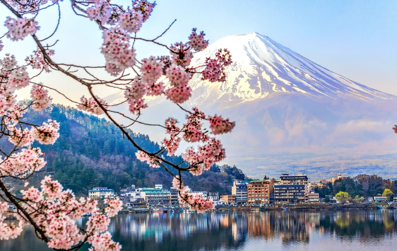 cherry blossom japan loveyourholidays ανθισμένες κερασιές