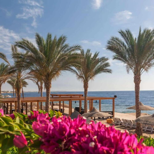 Σαρμ ελ Σειχ - Sharm el Sheikh