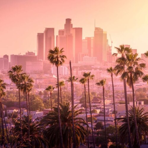 lyh_usa
