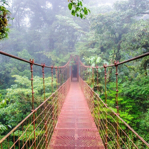 LYH Costa Rica