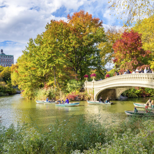 Beautiful,Foliage,Colors,Of,New,York,Central,Park.